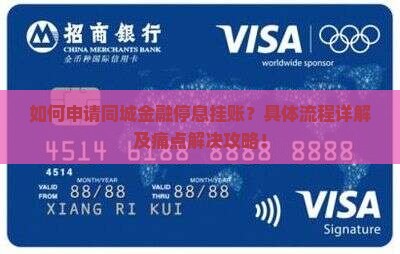 如何申请同城金融停息挂账？具体流程详解及痛点解决攻略！