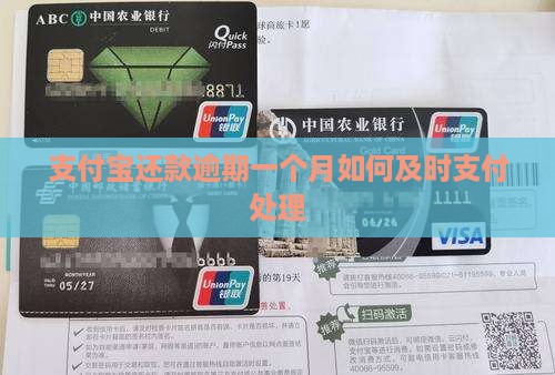 支付宝还款逾期一个月如何及时支付处理