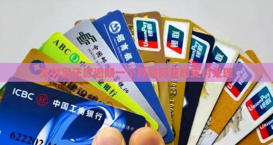 支付宝还款逾期一个月如何及时支付处理