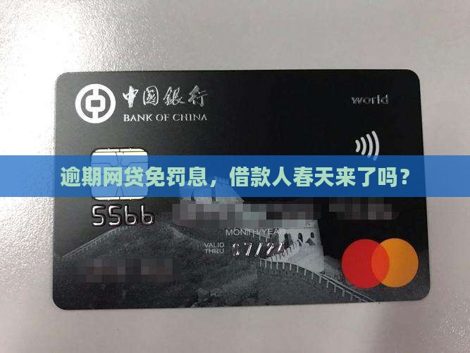 逾期网贷免罚息，借款人春天来了吗？