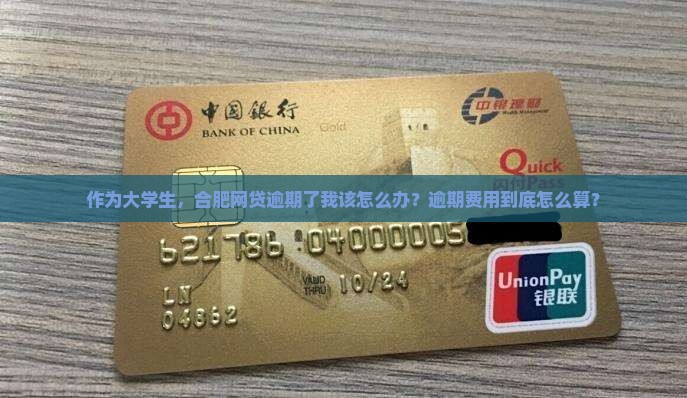 作为大学生，合肥网贷逾期了我该怎么办？逾期费用到底怎么算？