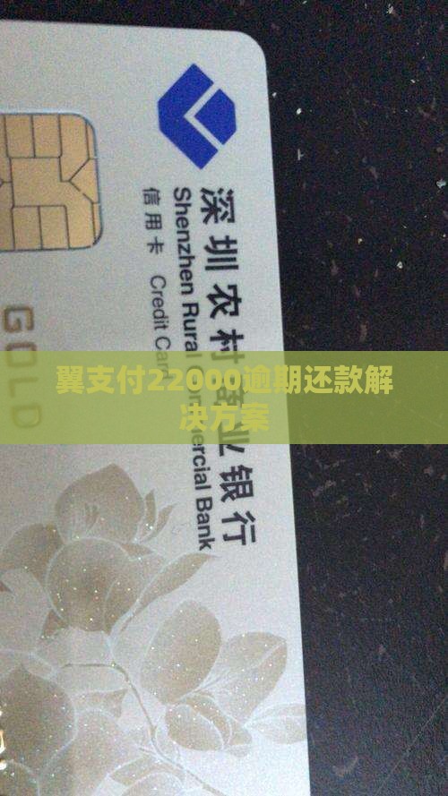 翼支付22000逾期还款解决方案