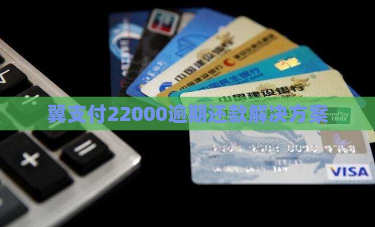翼支付22000逾期还款解决方案