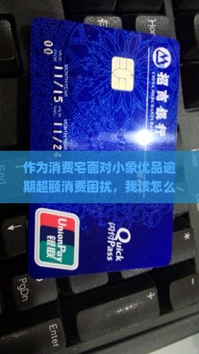 作为消费宅面对小象优品逾期超额消费困扰，我该怎么办？