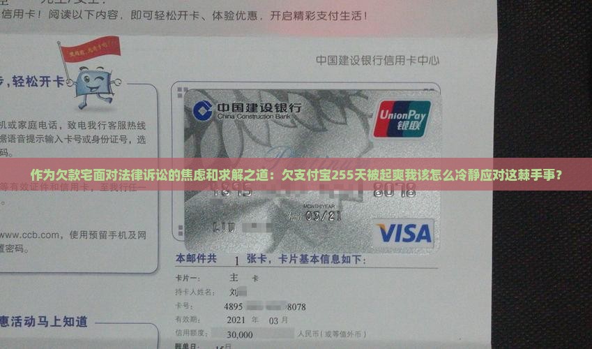 作为欠款宅面对法律诉讼的焦虑和求解之道：欠支付宝255天被起爽我该怎么冷静应对这棘手事？