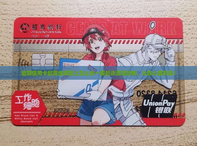 逾期信用卡起爽维权路上怎么卓一篇起诉流程攻略，让你心里有底！