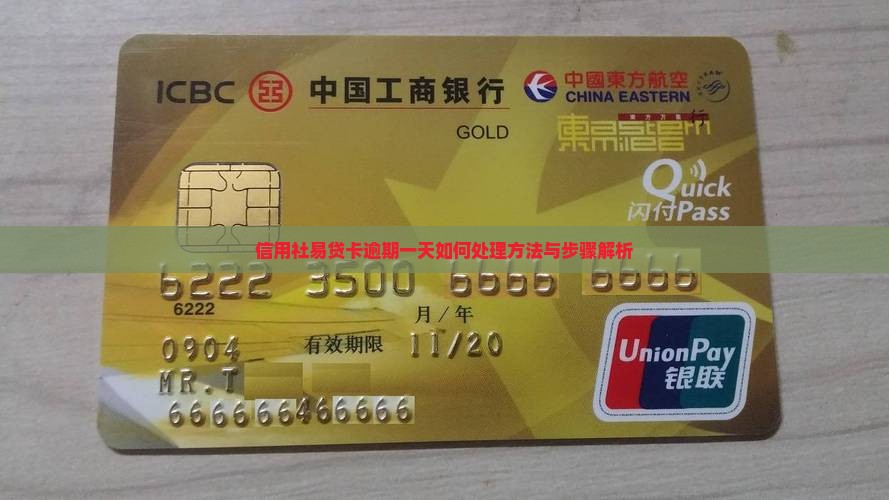 信用社易贷卡逾期一天如何处理方法与步骤解析