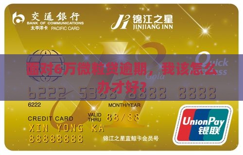 面对6万微粒贷逾期，我该怎么办才好？