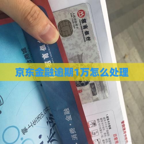 京东金融逾期1万该如何处理