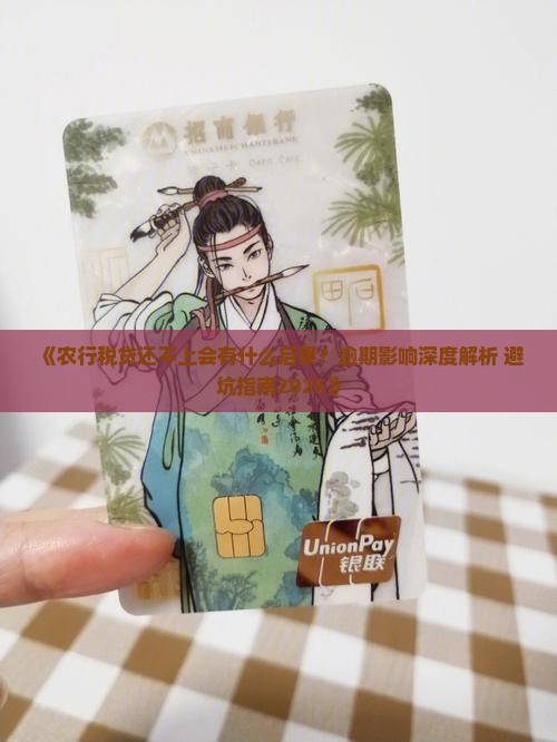 农行税贷还不上会有什么后果