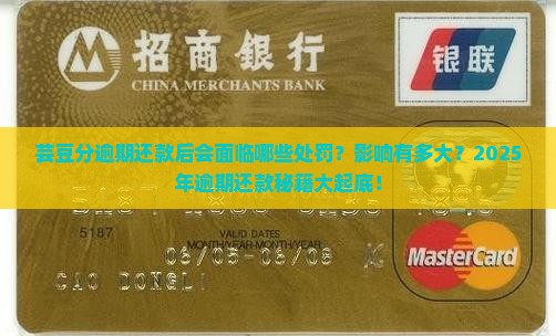 芸豆分逾期还款后的处罚和影响是什么