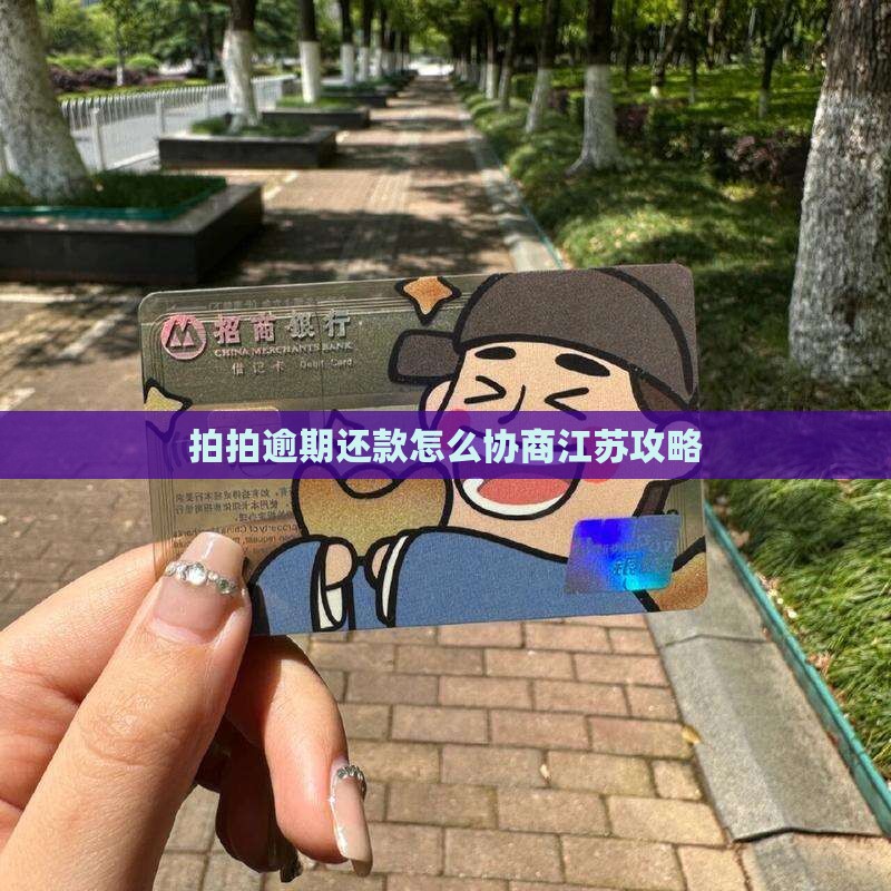 江苏拍拍贷逾期还款协商攻略