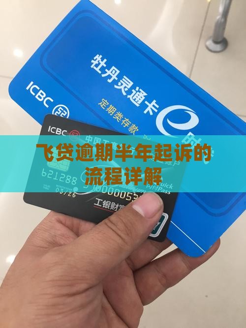飞贷逾期半年起诉的流程是怎样的