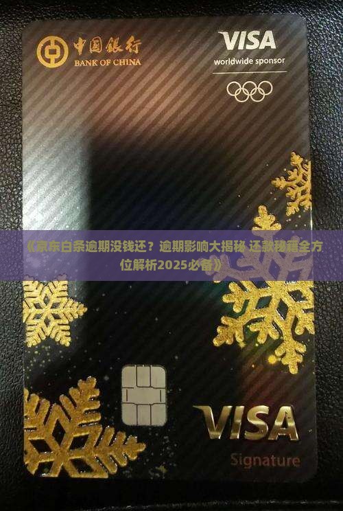 京东白条逾期了但是没钱怎么办