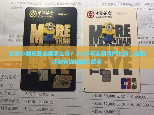 甘肃小额贷款逾期怎么办