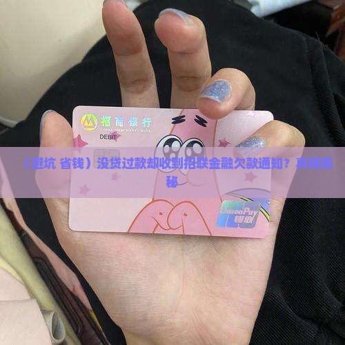 没有贷款招联金融欠款怎么办 没有贷款招联金融欠款怎么办