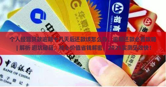 个人经营贷款逾期十几天后还款该怎么办