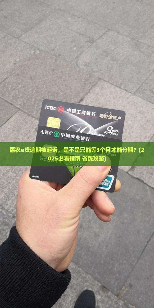 惠农e贷逾期了起诉了才让分期还款吗