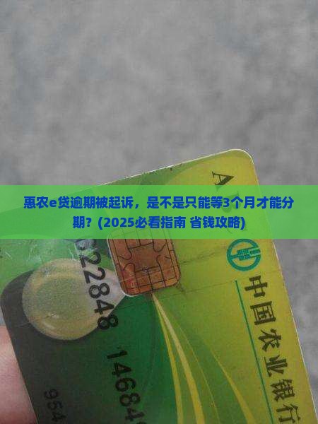 惠农e贷逾期了起诉了才让分期还款吗