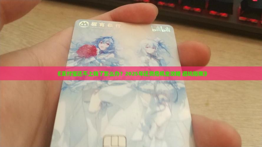 支付宝还不上钱了怎么办