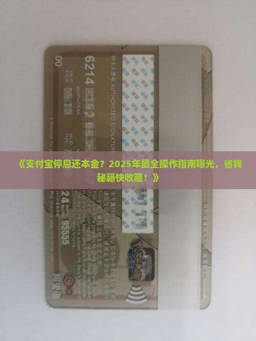 支付宝停息还本金怎么操作有效率