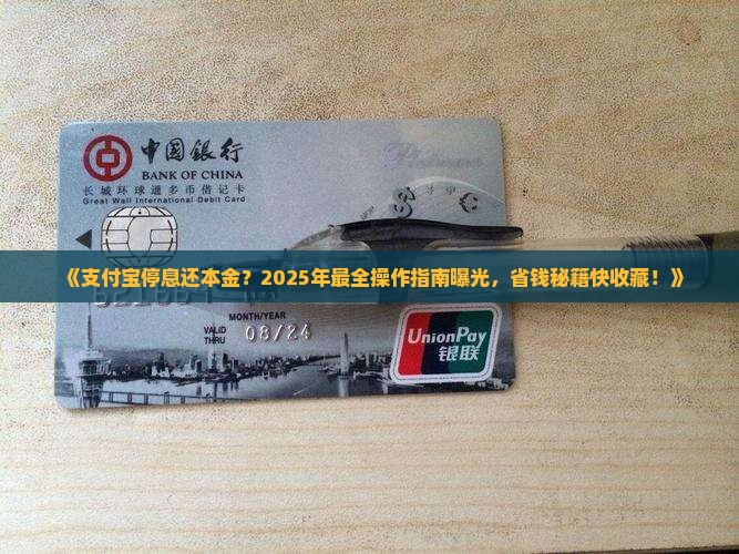支付宝停息还本金怎么操作有效率
