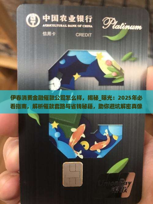 伊春消费金融催款公司怎么样