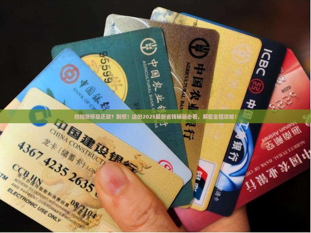 拍拍贷协商停息还款流程解析