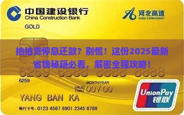 拍拍贷协商停息还款流程解析