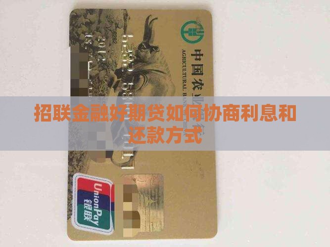 网贷金融好期贷如何协商利息和还款方式