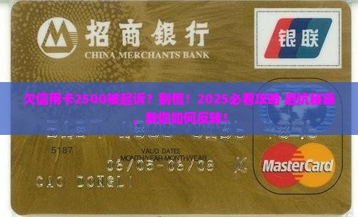欠信用卡2500元被起诉怎么办