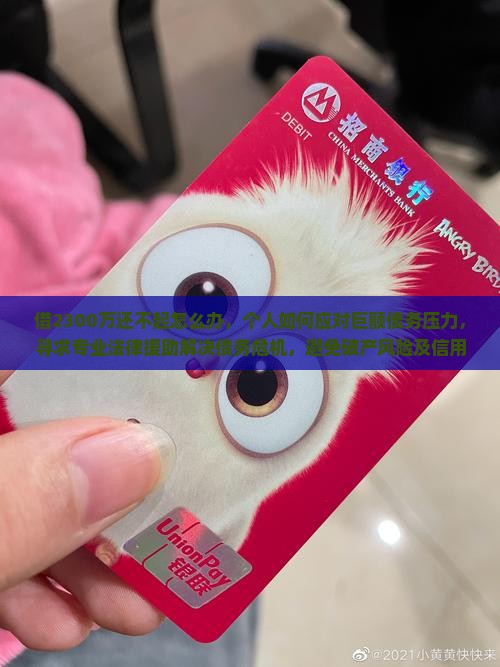 借2300万还不起怎么办