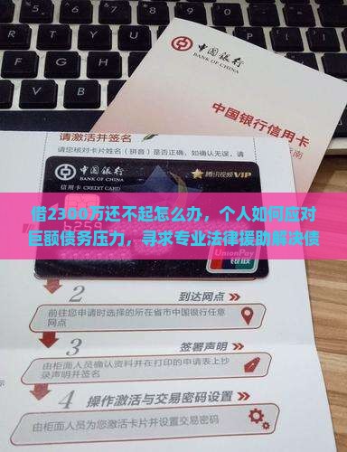 借2300万还不起怎么办