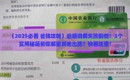 逾期调解不成功怎么办理还有其他解决办法吗