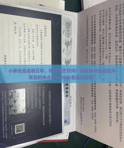 小象优品逾期五年