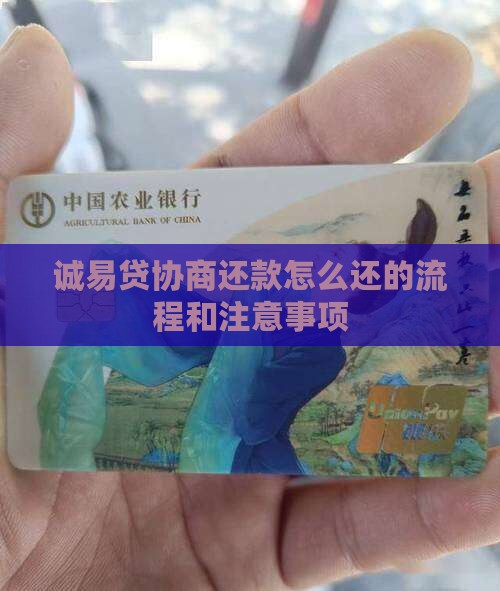 诚易贷协商还款怎么还