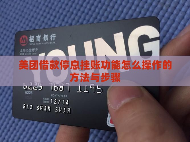 美团借款停息挂账功能怎么操作