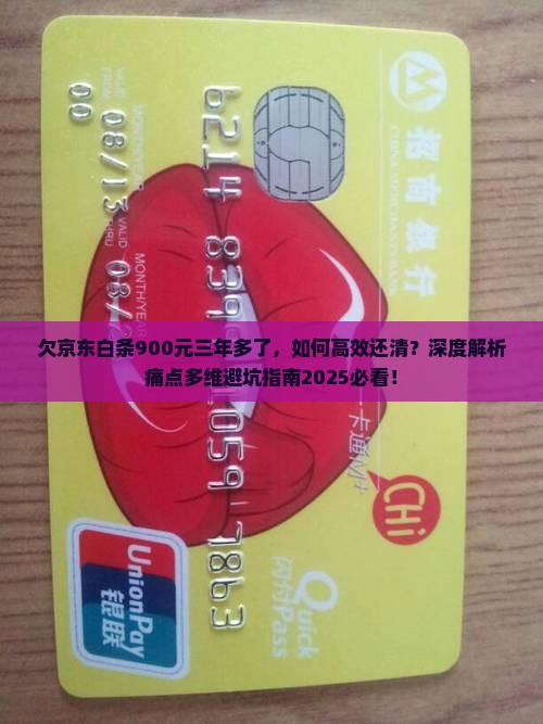 欠京东白条900元三年多了