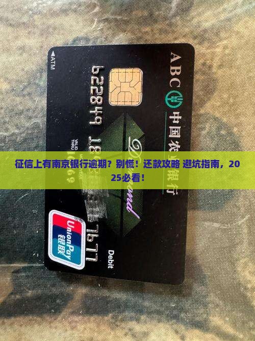 征信上南京银行逾期如何还款