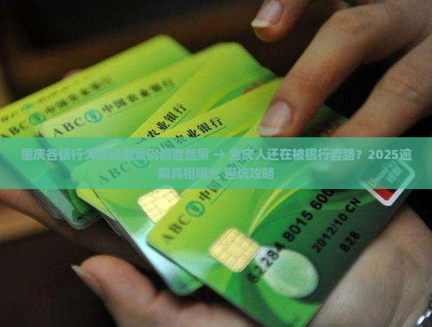 重庆各银行欠款逾期案例调查结果