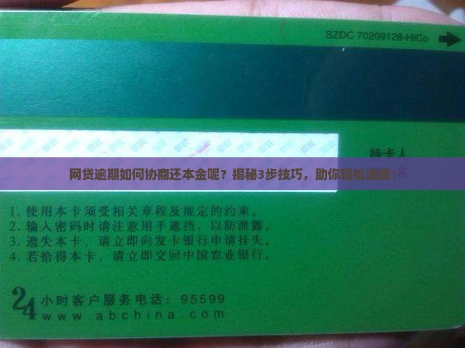 网贷逾期如何协商还本金呢