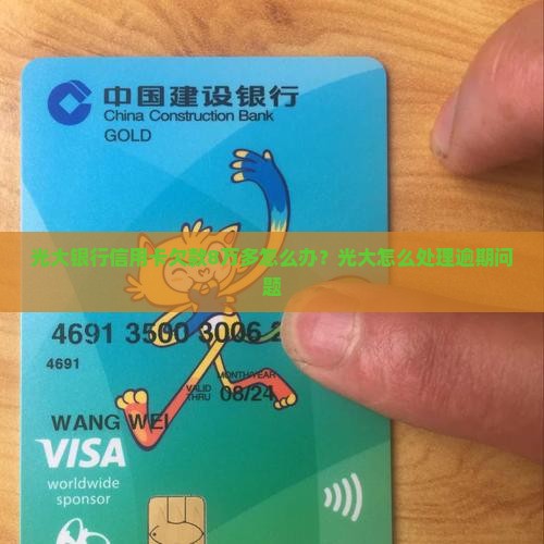 光大银行信用卡欠款8万多怎么办