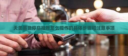 天美易贷停息挂账怎么操作 天美易贷停息挂账怎么操作