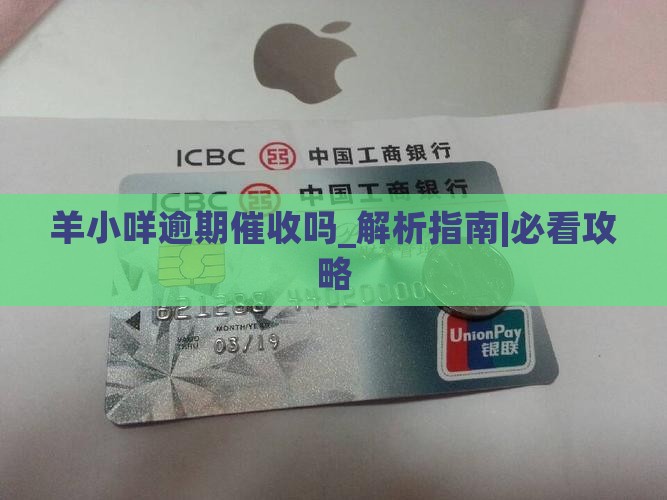 羊小咩逾期催收吗的处理方式