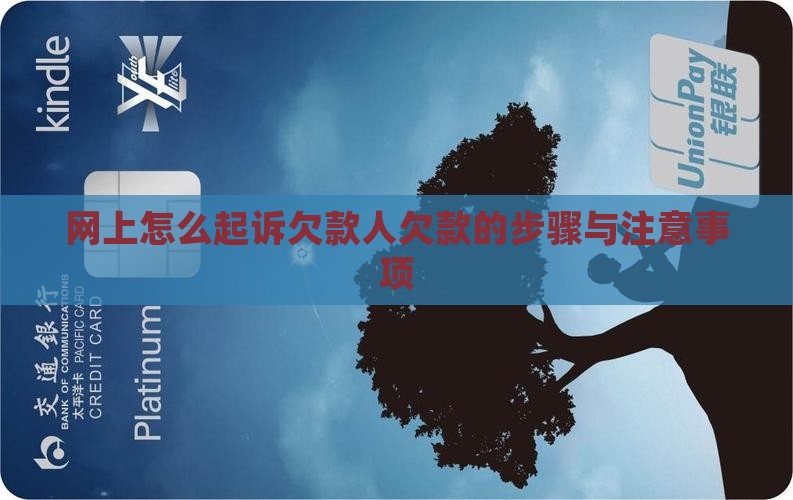网上起诉欠款人的步骤与注意事项