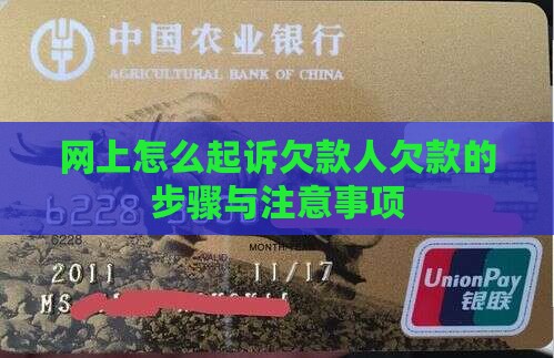 网上起诉欠款人的步骤与注意事项