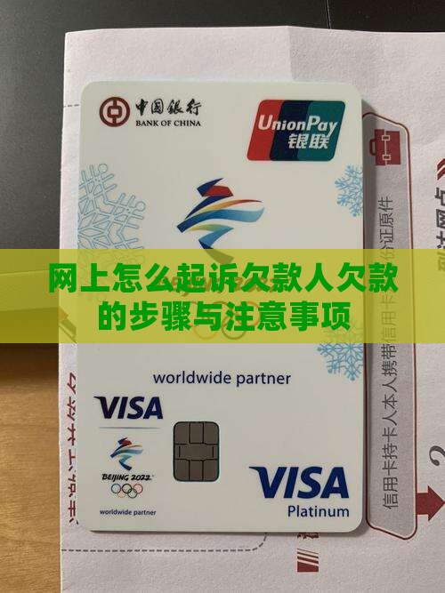 网上起诉欠款人的步骤与注意事项