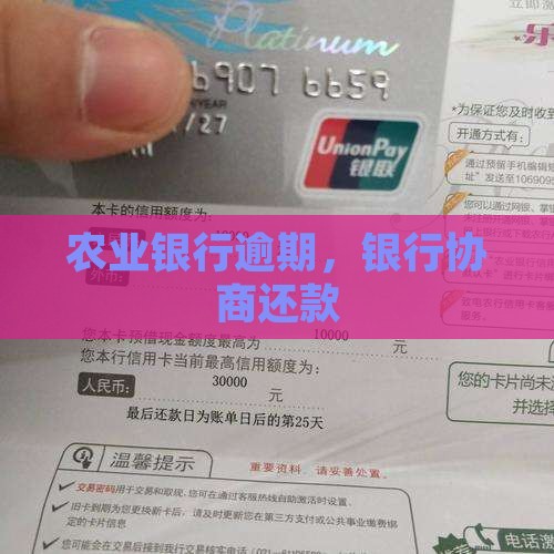 农业银行协商