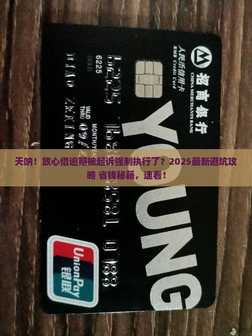 放心借严重逾期被起诉强制执行了应该如何处理