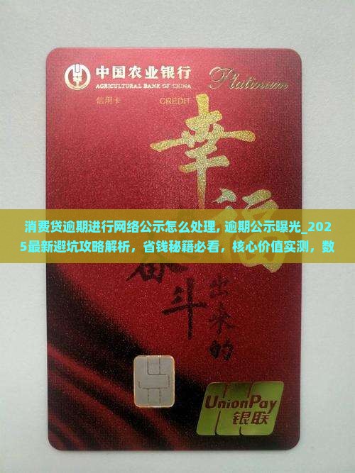 消费贷逾期进行网络公示怎么处理
